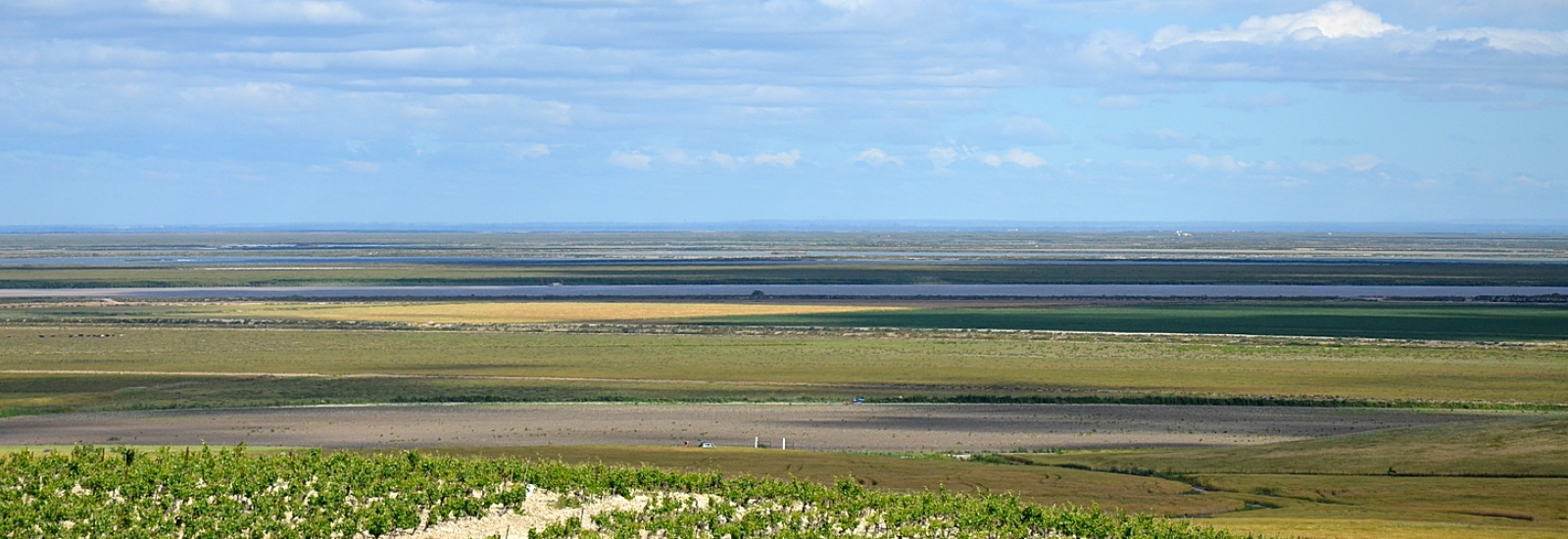 Rio Guadalquivir